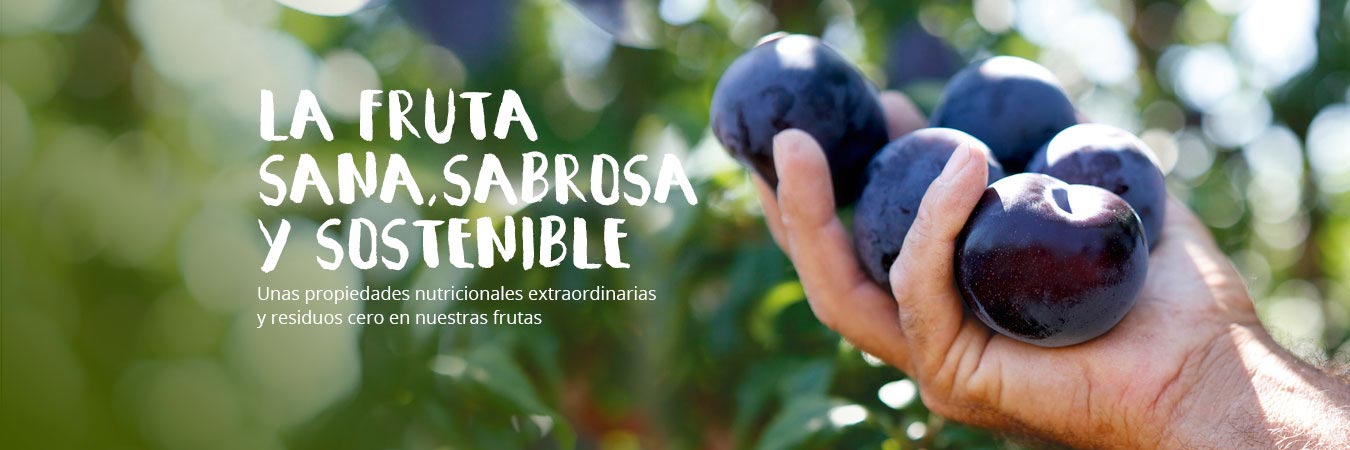 Tany Nature fruta ciruelas nectarinas melocotones pavias albaricoques paraguayos platerinas caquis esparragos productores Extremadura Zurbaran